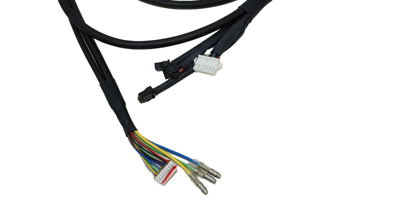 PANTERRA E BIKE WIRING HARNESS FOR CIRCUIT BOARD ED-2EX-4-MP1.2 WIRING LOOM